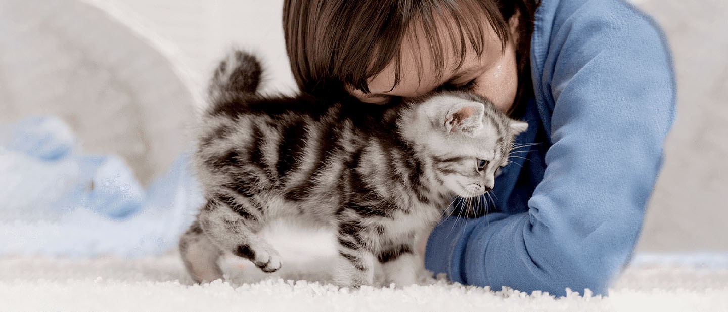 Cat Scratching, Clawing and Rubbing Behavior