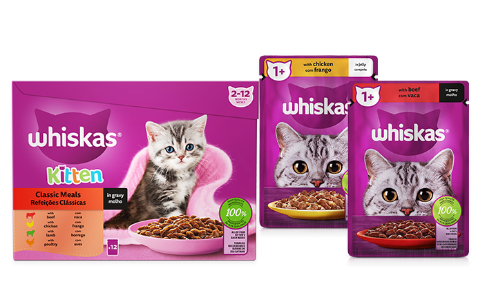wet food our product